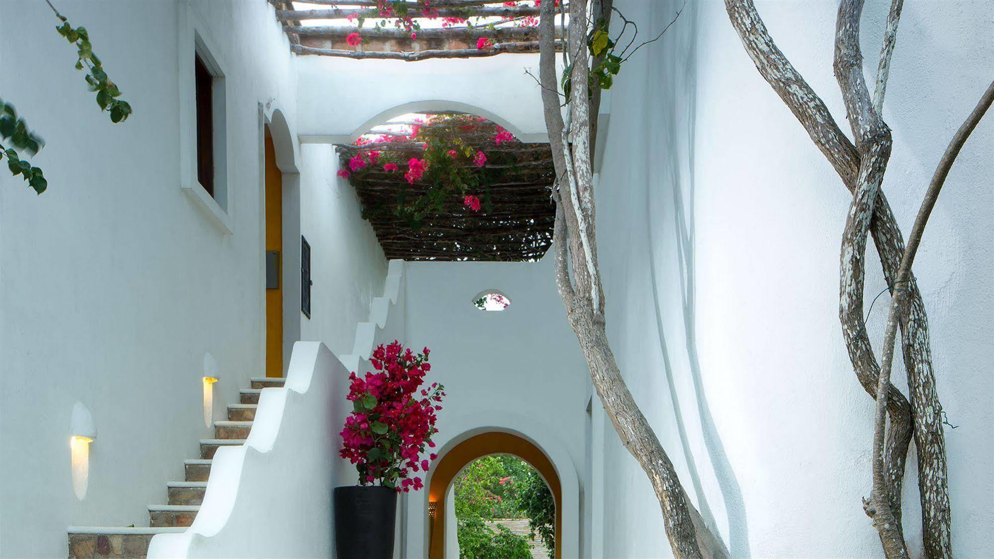 My Blue Hotel Jericoacoara Extérieur photo
